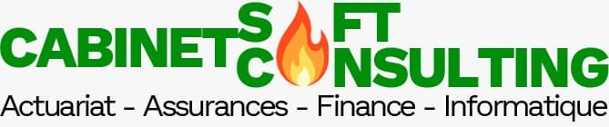 Cabinet Soft Consulting